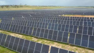 solar farm needing biodiversity credits